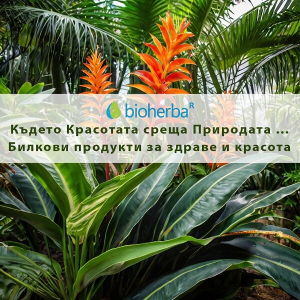 ПЕНООБРАЗУВАЩИ СОЛИ ЗА ВАНА - ЕВКАЛИПТ и МЕНТА